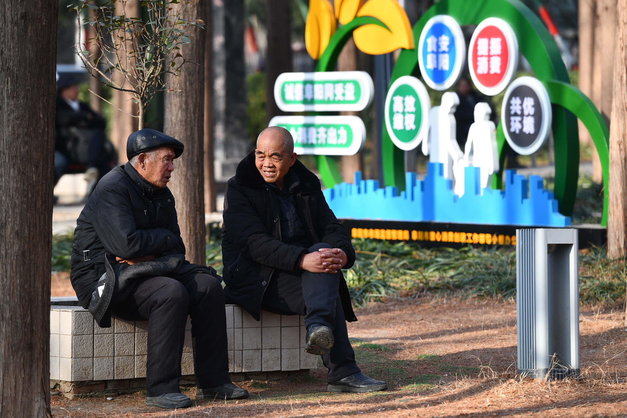 Elderly residents spend a leisurely day in a park located in Fuyang City, situated in the eastern part of China's Anhui Province, January 15, 2024. /CFP